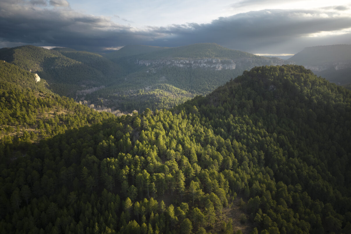 Alto Tajo Natural Park in the Iberian Highlands.