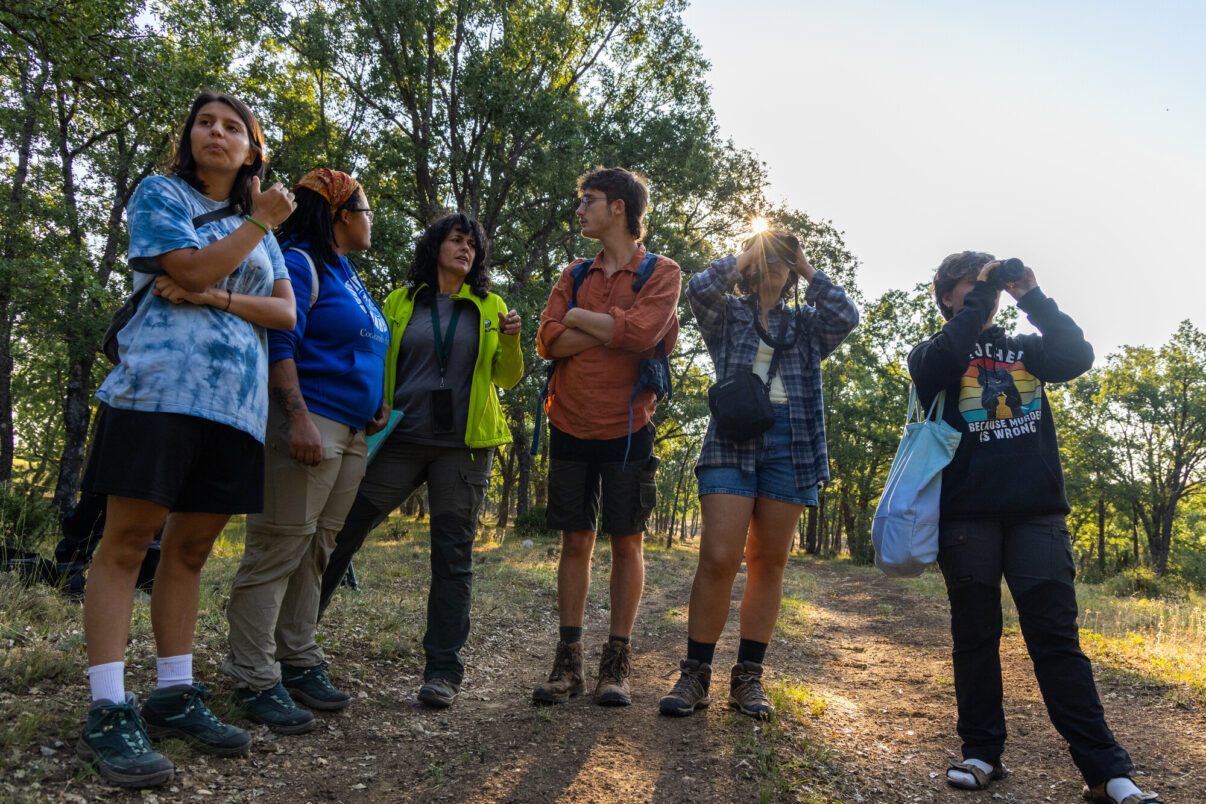 Soraya Espinosa, owner of nature tourism business, El Observario, guides a group of tourists looking for przewalski's horses. Iberian Highlands, Spain.